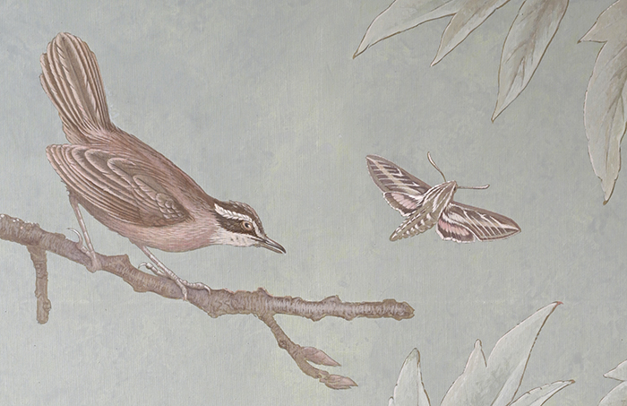 Antbird and Privet Hawkmoth<p><h6>(Detail )</h6>