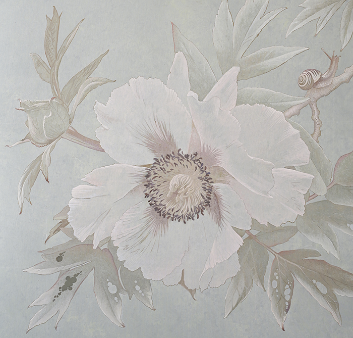 Peony flower and damaged leaves <p><h6>( Detail )</h6>.