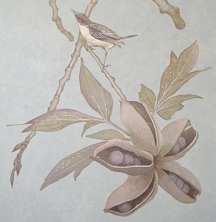 Peony seedpod <p><h6>( Detail )</h6>..