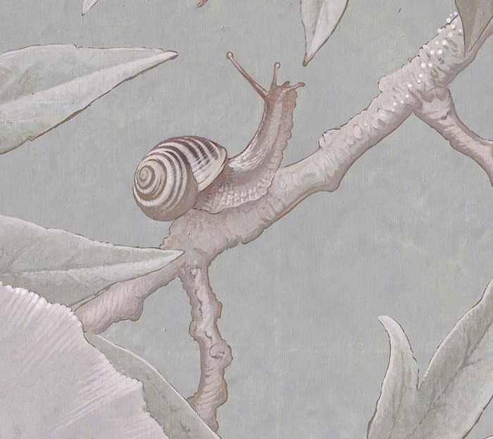 Garden Snail <p><h6>( Detail )</h6>.