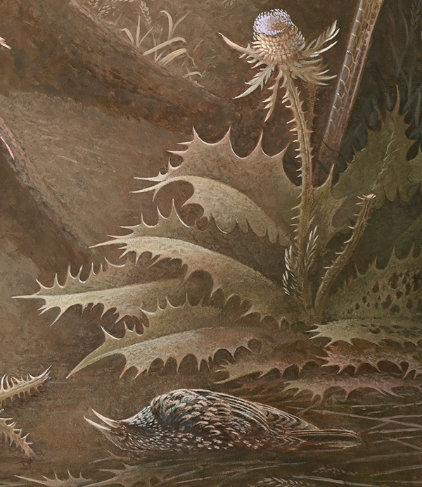 Blue Thistle and Starling (detail ) <p>.<p>.