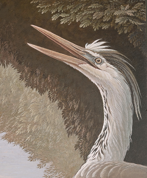 Grey Heron (detail ) <p>.