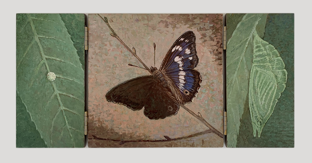 Study for Apertura iris - 2024<p><h6>miniature trypich - 12 x 24 cm</h6><p><h6>Tempera and acrylics on oak panel</h6><p>.