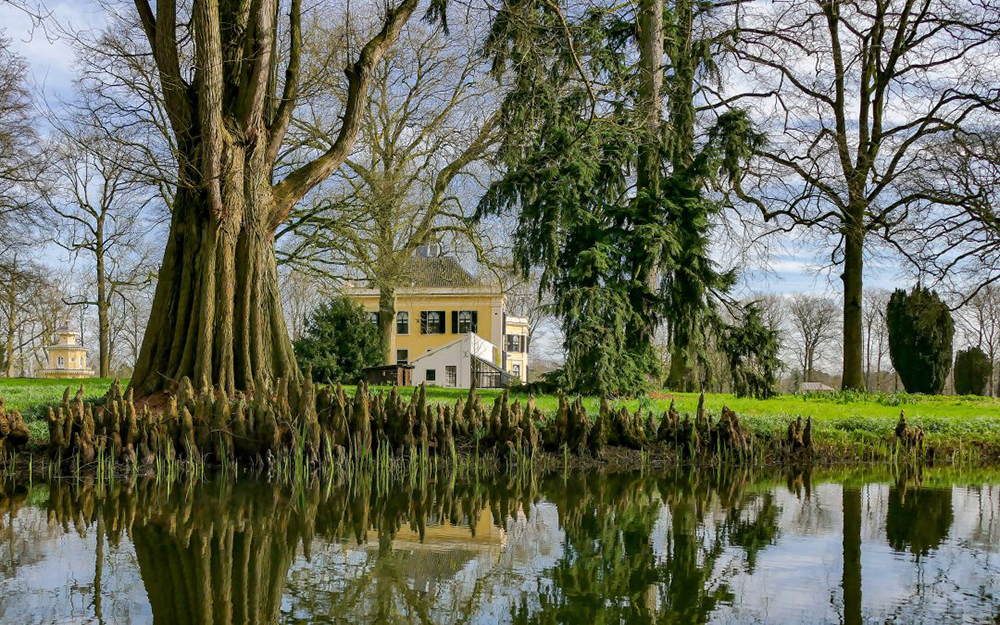  ‘Kijken’ en ‘zien’ zijn altijd een belangrijk aspect  geweest van een buitenplaats als deze,. Kijken naar.. de tuin.. de natuur.. de wereld.<p>.