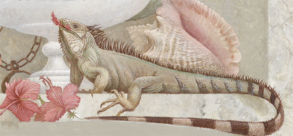 Green Iguana and Hybiscus flowers <p>Strombus gigas \"Conch\" shell <p>