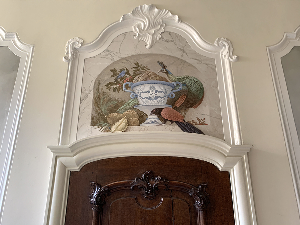 The JAVA panel  <p>.