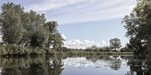 The River \"Het Gein\" <p>.