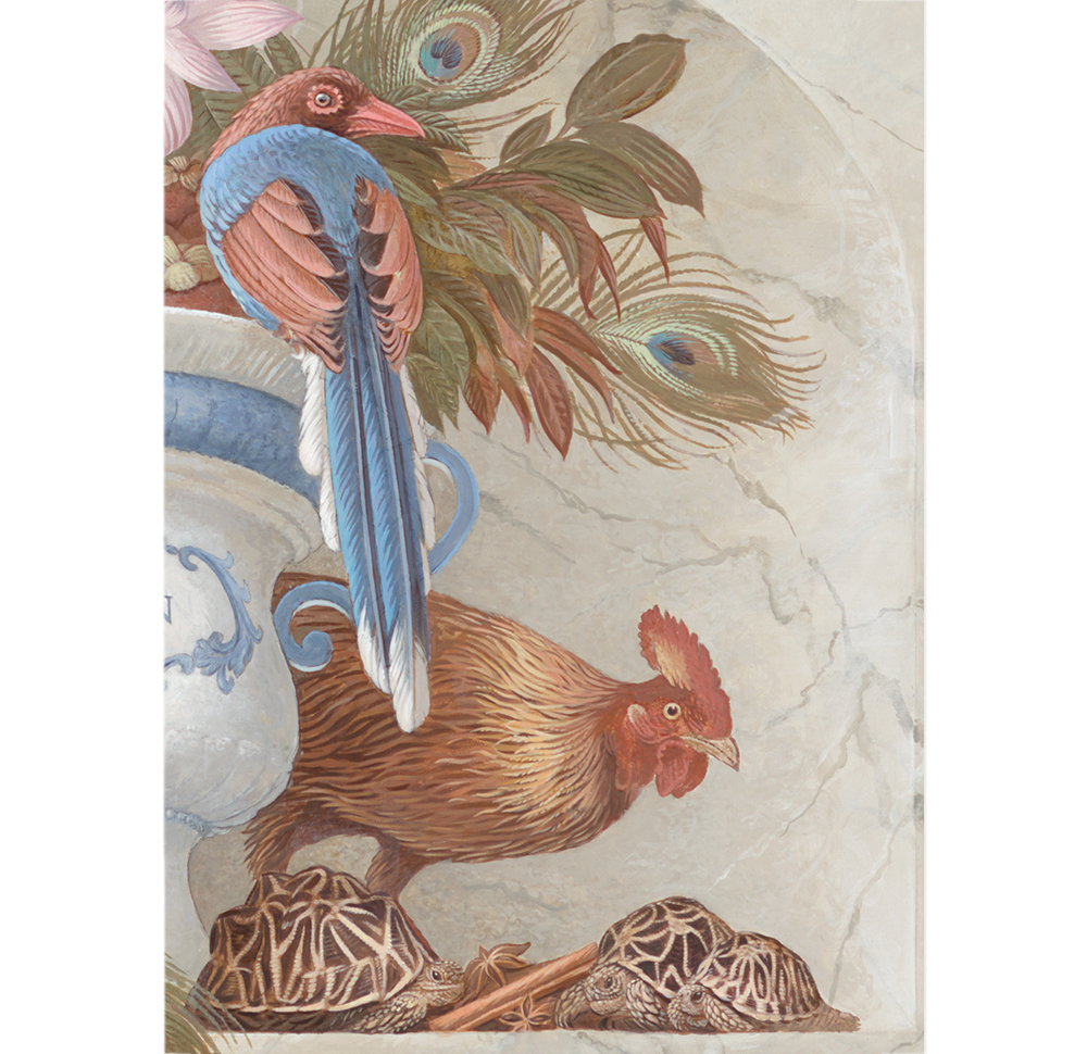 Sri Lanka Jungle fowl, Blue Magpie, Cinnamon,<p> indian Star Turtle, Peafowl<p>- Ceylon -<p>.
