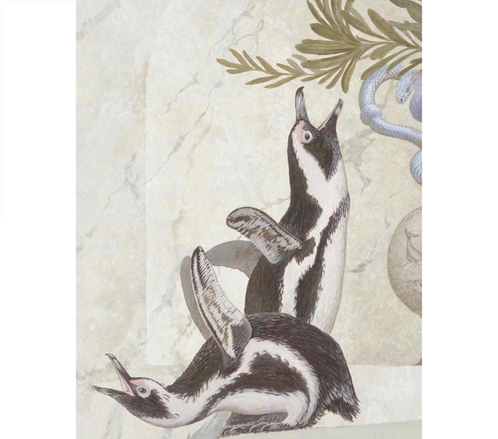 African \"Cape\" Penguins <p>