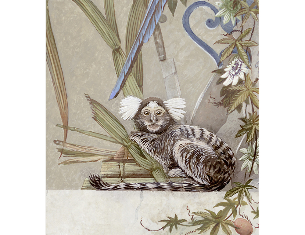 Common Marmoset and Cane sugar<p>- Recife  - Pernambuco - <p>.