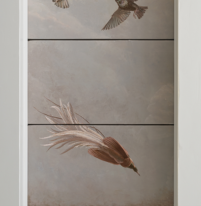 Greater Bird of Paradis as a stuffed skin
Just had to include one in this ceiling for several reasons. <p>.