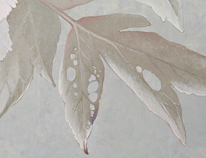 Leaf damage <p><h6>( Detail )</h6>.