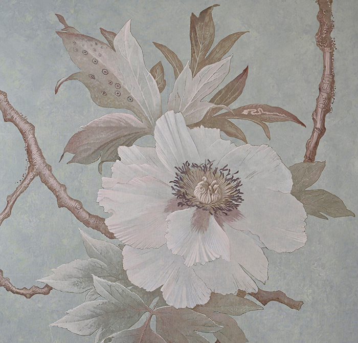 Peony flower<p><h6>( Detail )</h6>.