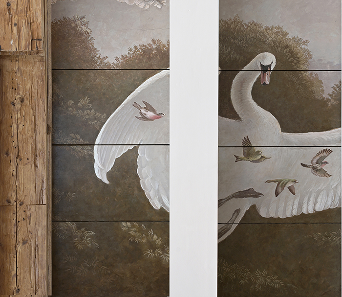Mute swan <p>with Green finch and Linnets. <p>.