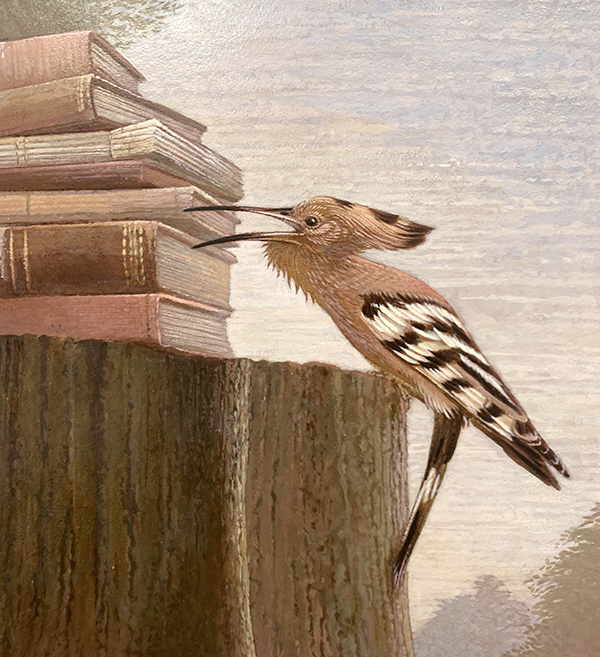 Hoopoe - Upupa epops.  (detail ) <p>.<p>.