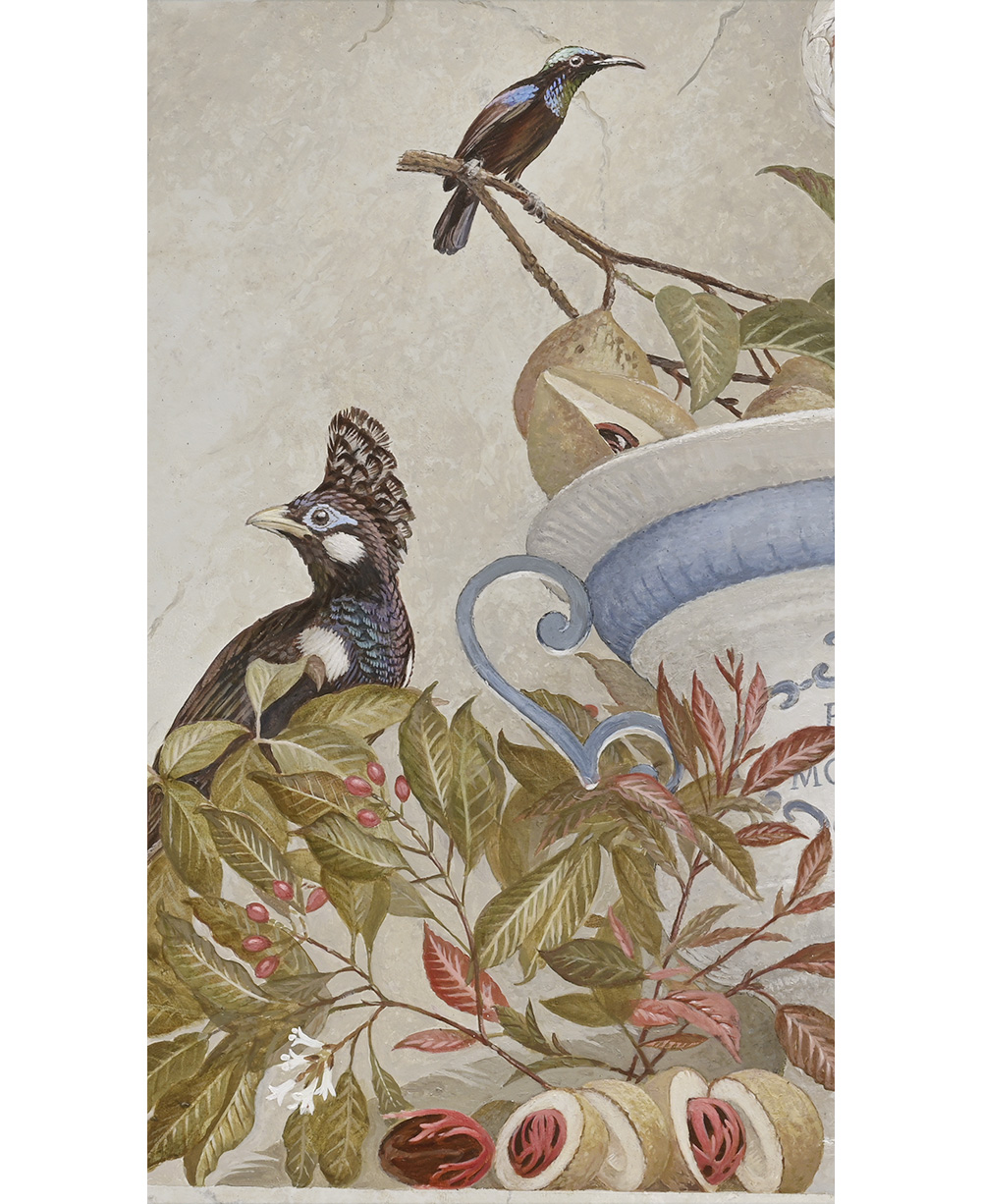 Nutmeg, Cloves, Black Sunbird and a Long-Crested Myna. <p>Banda / Molucca\'s<p>.