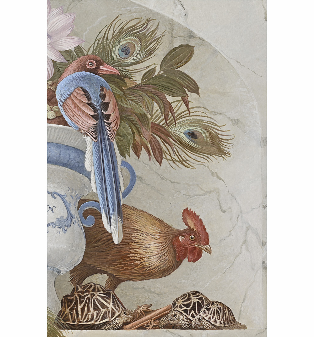 Sri Lanka Jungle fowl, Blue Magpie, Cinnamon,<p> indian Star Turtle, Peafowl<p>- Ceylon -<p>.