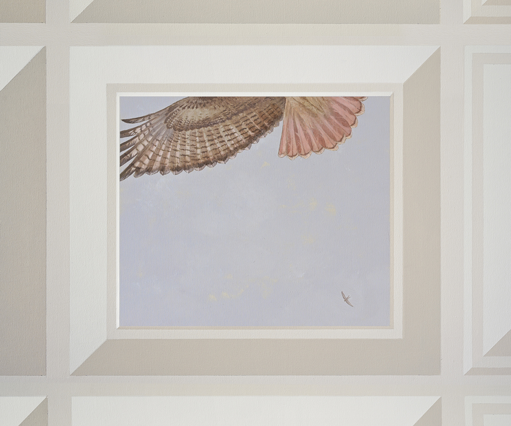 Red Tailed Hawk <p>.
