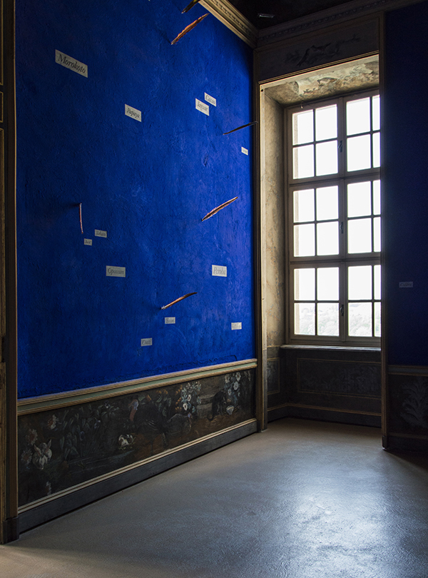 Lothar Baumgarten, 
\"Yurupari – Stanza di Rheinsberg” (Rheinsberg Raum) 1984. <p>
Cobalt pigment, papier strips, Ara feathers, tempera on wall.
Castello di Rivoli Museo d’Arte Contemporanea, Rivoli,
Torino, Italy
