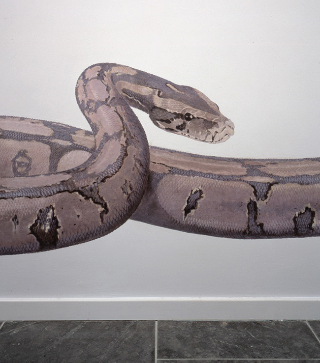 Boa Constrictor <p>a seven meter mural in the entrance<p>.