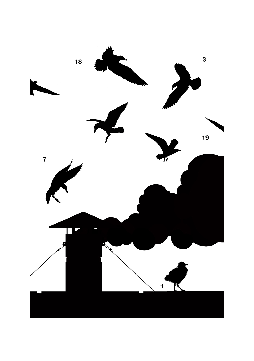 \"Angeli Neri\"<p>
<h6>- Gulls - Larus sp. -<p>2026</h6><p>..