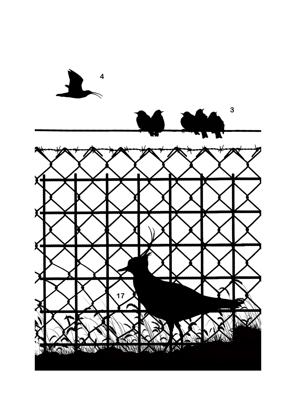 \"Fenced\"<p>
<h6>- Lapwings - Vanellus - <p>2026</h6><p>..